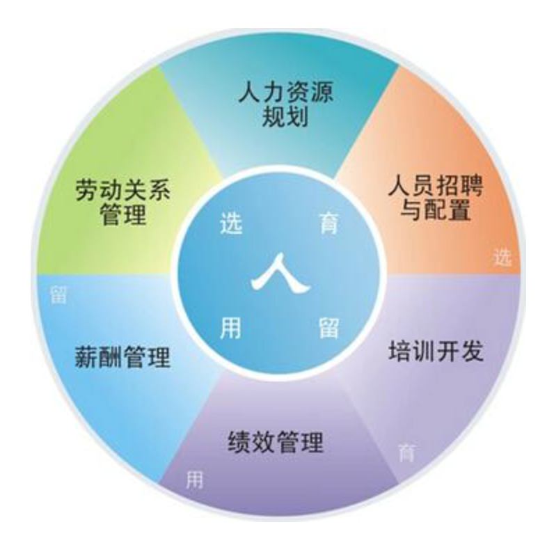 对标先进的典范做法 推动高质量发展打造行业发展新高地的重要保障举措分析——以人力资源管理咨询服务数字化转型综合模式的多维深度融合与双向运行有效推进融合优化新型路径实践调研报告引导书