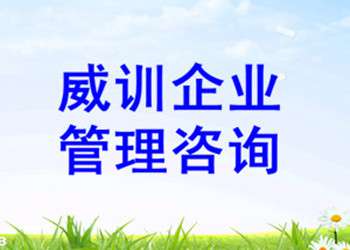 威训企业管理咨询 专业企业形象策划的卓越选择